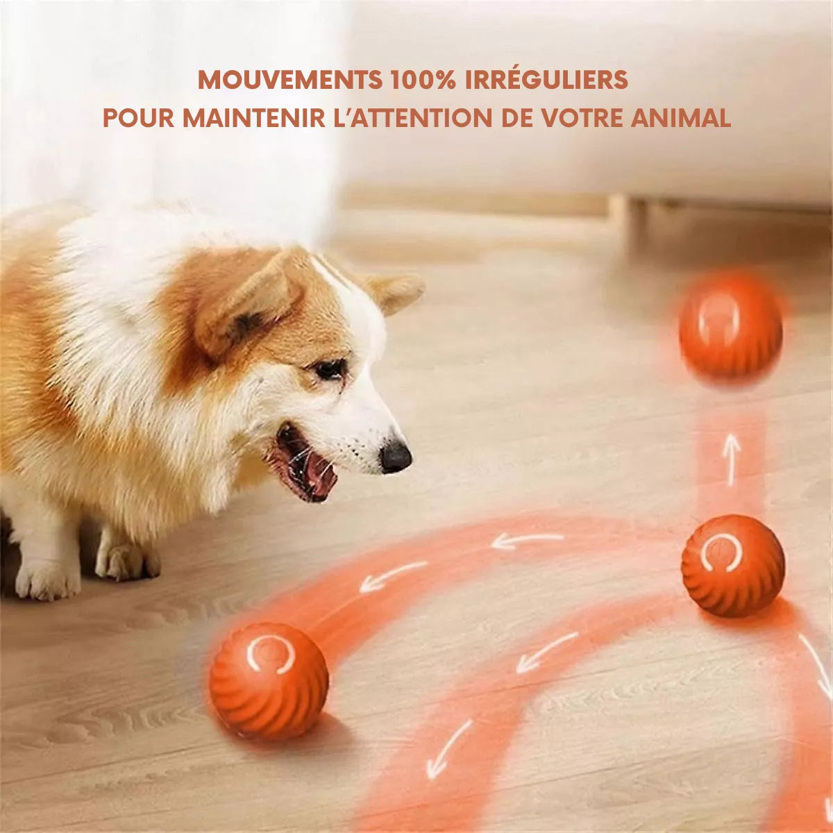Balle Intelligente pour Chien