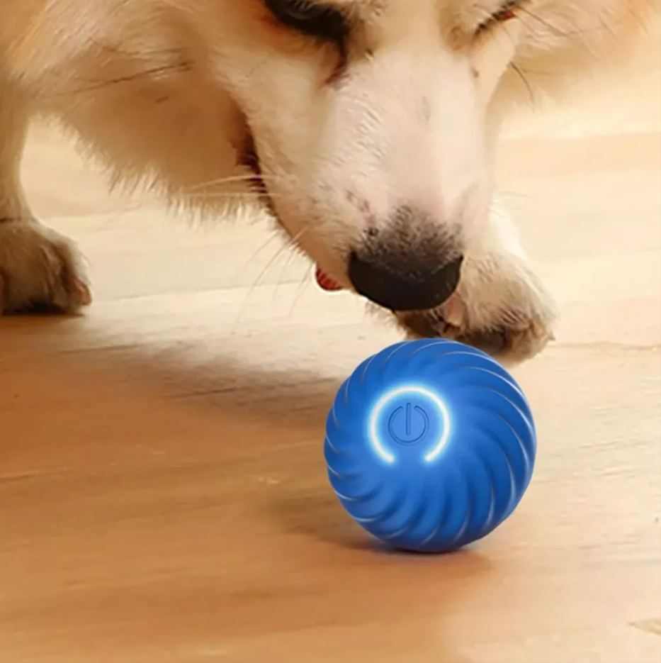 Balle Intelligente pour Chien